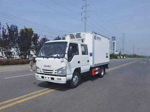 石家莊躍進柴油版3米3冷凍車 高效環(huán)保的冷鏈運輸選擇